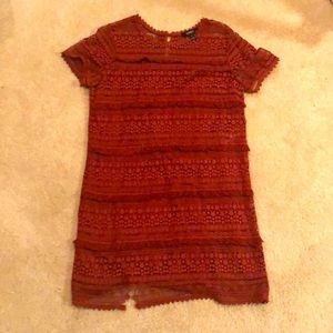 Burnt Orange Lace Shift Dress